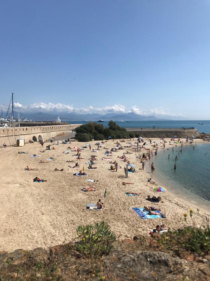 Antibes Tres Belle Situation ! Apartment Ngoại thất bức ảnh