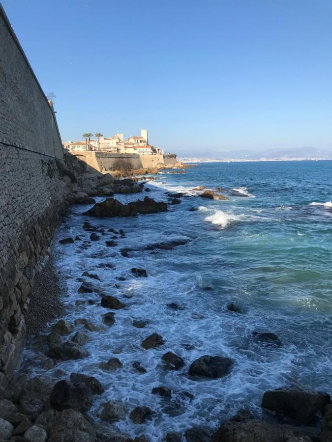 Antibes Tres Belle Situation ! Apartment Ngoại thất bức ảnh